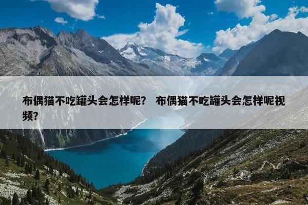 布偶猫不吃罐头会怎样呢？ 布偶猫不吃罐头会怎样呢视频？
