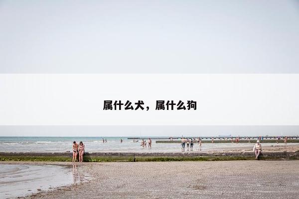 属什么犬，属什么狗