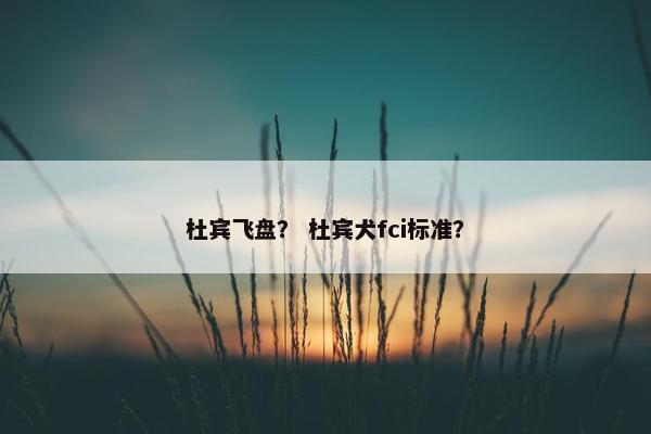 杜宾飞盘？ 杜宾犬fci标准？