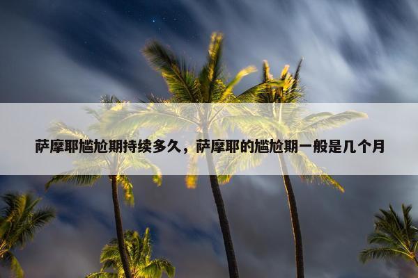萨摩耶尴尬期持续多久，萨摩耶的尴尬期一般是几个月