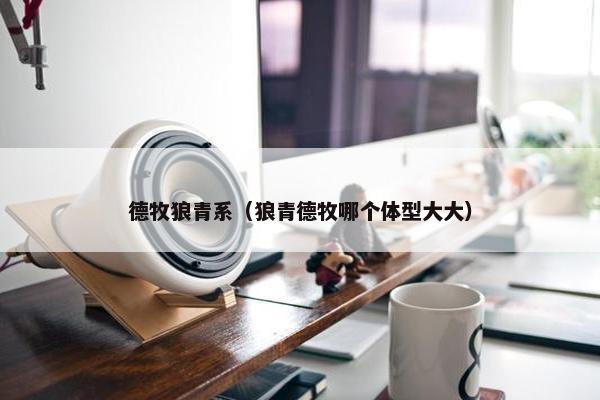 德牧狼青系（狼青德牧哪个体型大大）