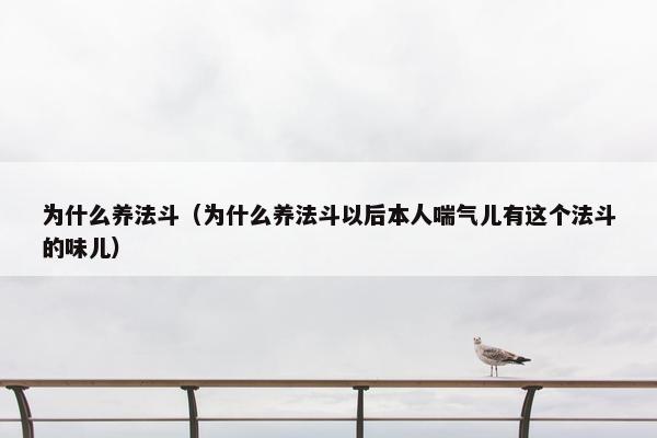 为什么养法斗（为什么养法斗以后本人喘气儿有这个法斗的味儿）