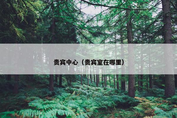 贵宾中心（贵宾室在哪里）