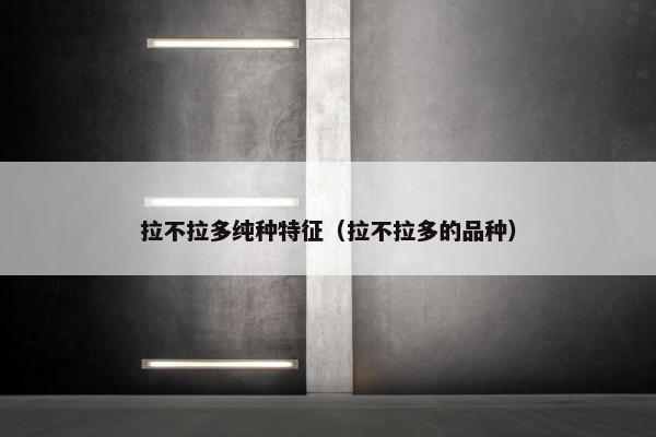 拉不拉多纯种特征（拉不拉多的品种）