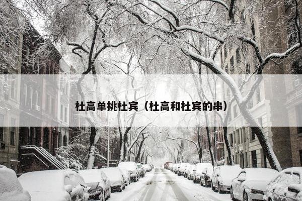 杜高单挑杜宾（杜高和杜宾的串）