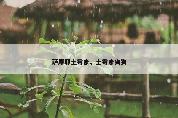 土霉素