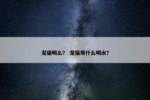 龙猫喝么？ 龙猫用什么喝水？
