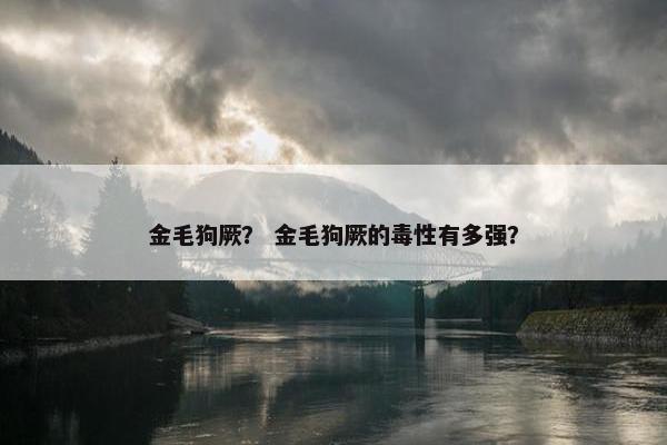 金毛狗厥？ 金毛狗厥的毒性有多强？