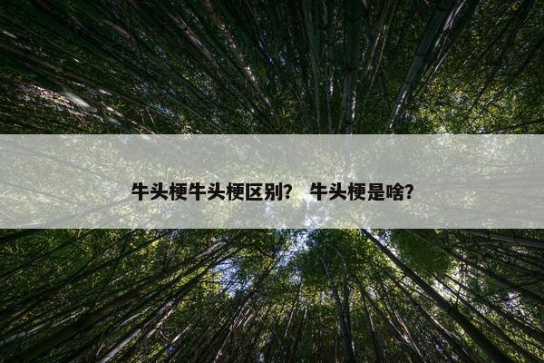 牛头梗牛头梗区别？ 牛头梗是啥？