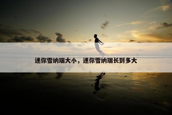 迷你雪纳瑞大小，迷你雪纳瑞长到多大