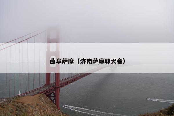 曲阜萨摩（济南萨摩耶犬舍）