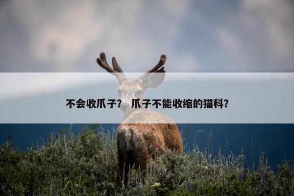 不会收爪子？ 爪子不能收缩的猫科？