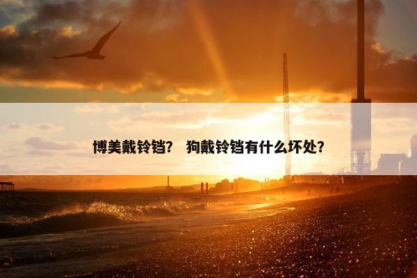 博美戴铃铛？ 狗戴铃铛有什么坏处？