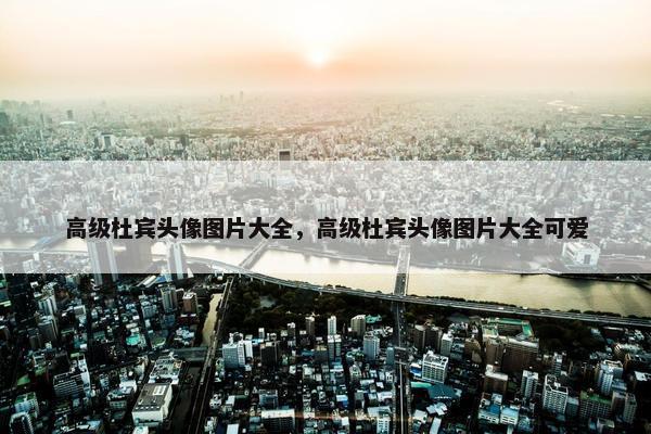 高级杜宾头像图片大全，高级杜宾头像图片大全可爱