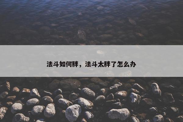 法斗如何胖，法斗太胖了怎么办