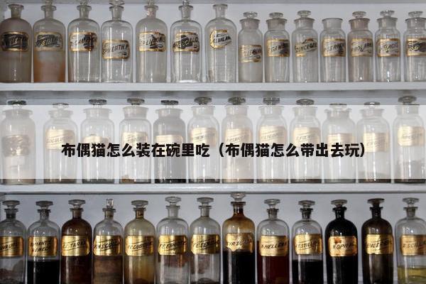 布偶猫怎么装在碗里吃（布偶猫怎么带出去玩）