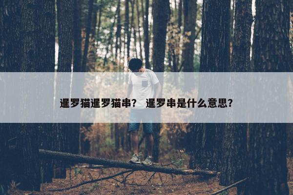 暹罗猫暹罗猫串？ 暹罗串是什么意思？