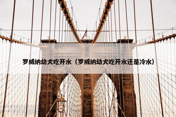 罗威纳幼犬吃开水（罗威纳幼犬吃开水还是冷水）
