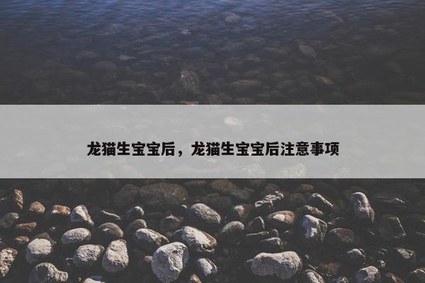 龙猫生宝宝后，龙猫生宝宝后注意事项