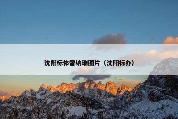 沈阳标体雪纳瑞图片（沈阳标办）