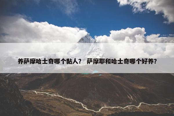 养萨摩哈士奇哪个黏人？ 萨摩耶和哈士奇哪个好养？