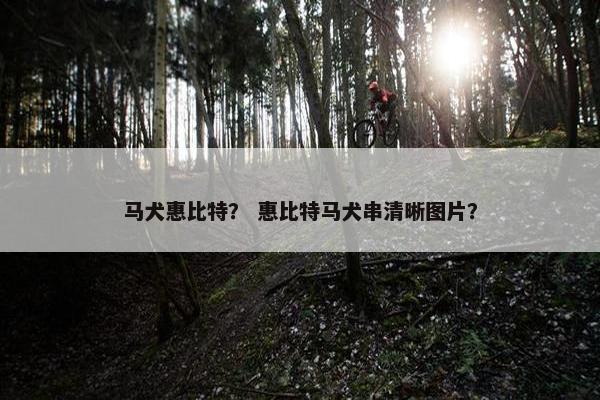 马犬惠比特？ 惠比特马犬串清晰图片？