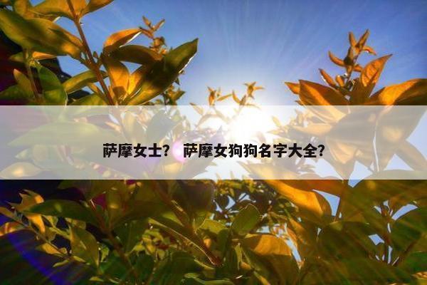萨摩女士？ 萨摩女狗狗名字大全？