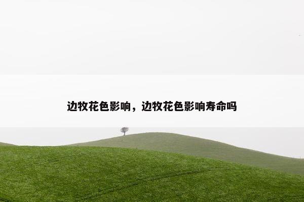 边牧花色影响，边牧花色影响寿命吗