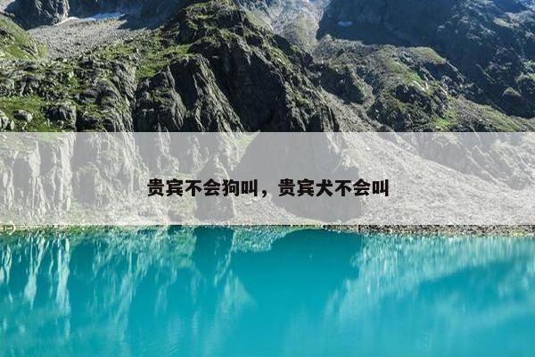 贵宾 第33页