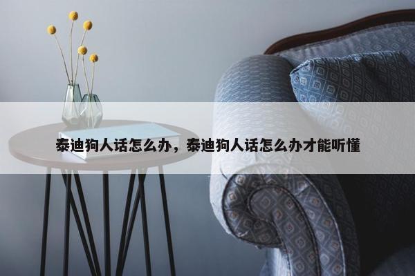 泰迪狗人话怎么办，泰迪狗人话怎么办才能听懂
