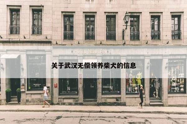 关于武汉无偿领养柴犬的信息