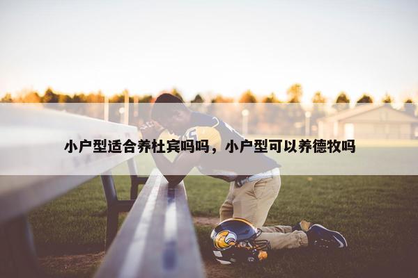 小户型适合养杜宾吗吗，小户型可以养德牧吗