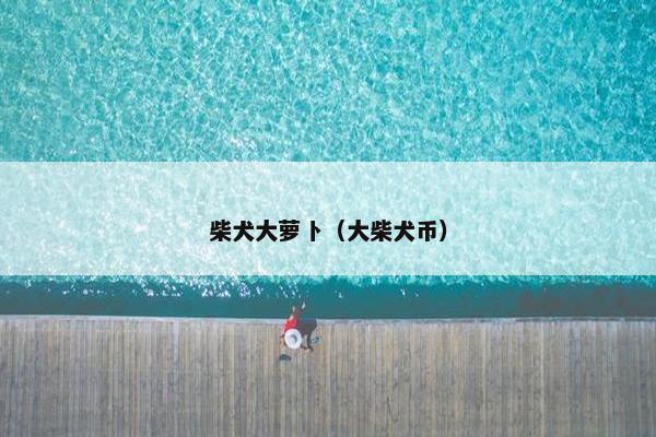 柴犬大萝卜（大柴犬币）