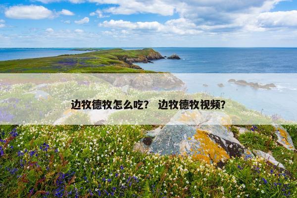 边牧德牧怎么吃？ 边牧德牧视频？