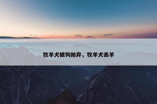 牧羊犬 第11页