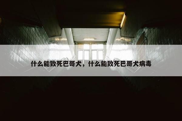 什么能致死巴哥犬，什么能致死巴哥犬病毒