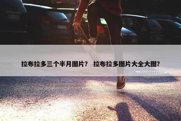 拉布拉多三个半月图片？ 拉布拉多图片大全大图？