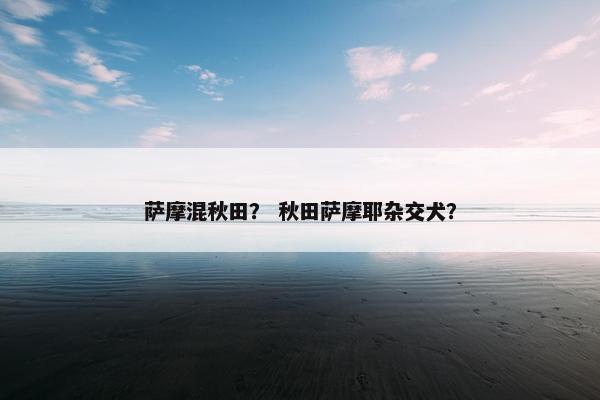 萨摩混秋田？ 秋田萨摩耶杂交犬？