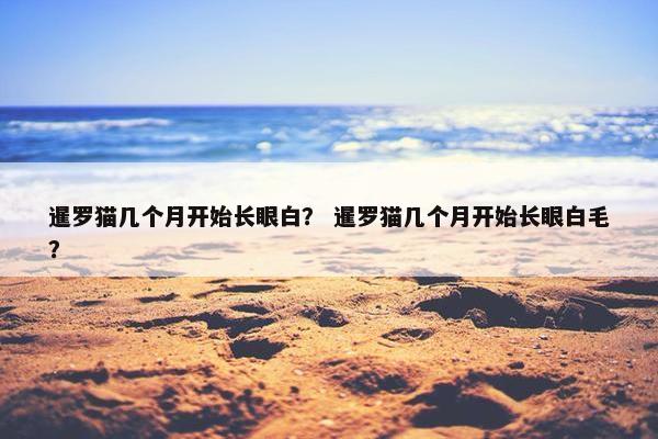 花枝