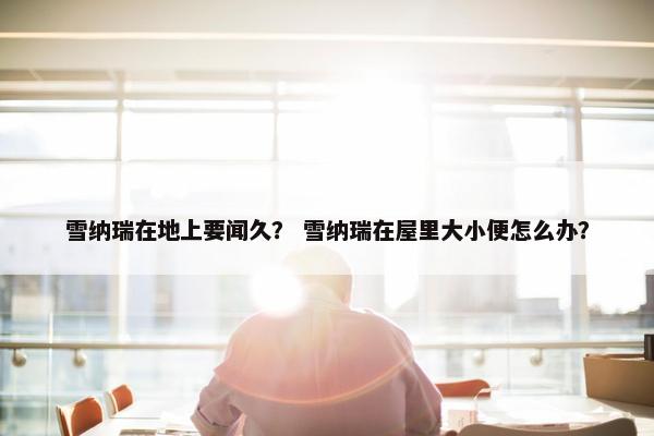雪纳瑞在地上要闻久？ 雪纳瑞在屋里大小便怎么办？