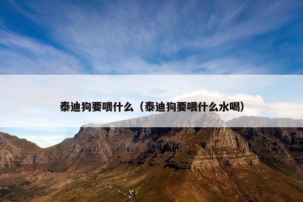 泰迪狗要喂什么（泰迪狗要喂什么水喝）
