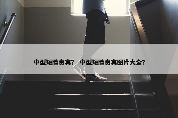 贵宾 第31页