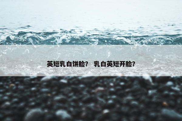 英短乳白饼脸？ 乳白英短开脸？