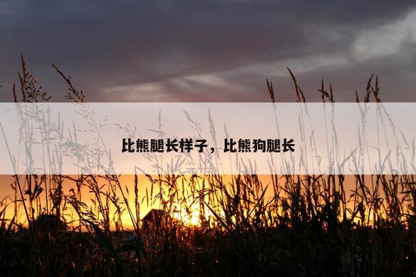 比熊腿长样子，比熊狗腿长