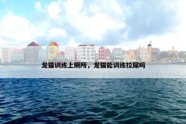 龙猫训练上厕所，龙猫能训练拉屎吗