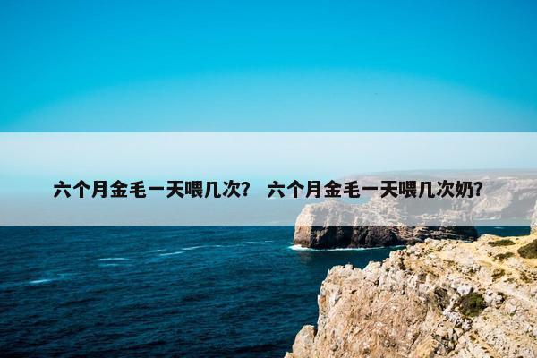 六个月金毛一天喂几次？ 六个月金毛一天喂几次奶？