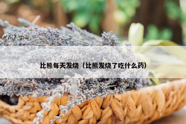 比熊每天发烧（比熊发烧了吃什么药）