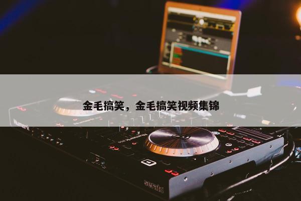金毛搞笑，金毛搞笑视频集锦
