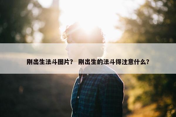 刚出生法斗图片？ 刚出生的法斗得注意什么？