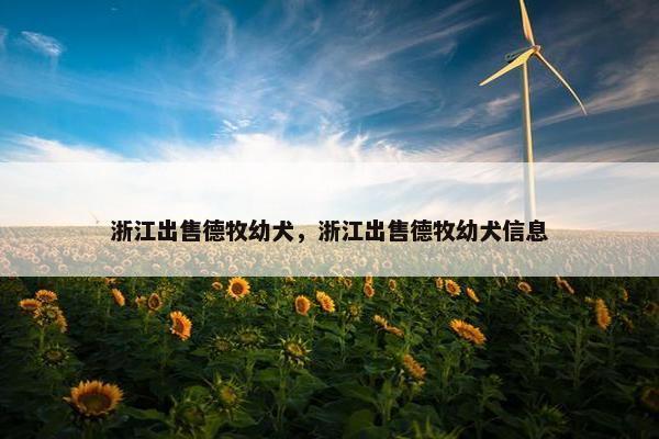 浙江出售德牧幼犬，浙江出售德牧幼犬信息